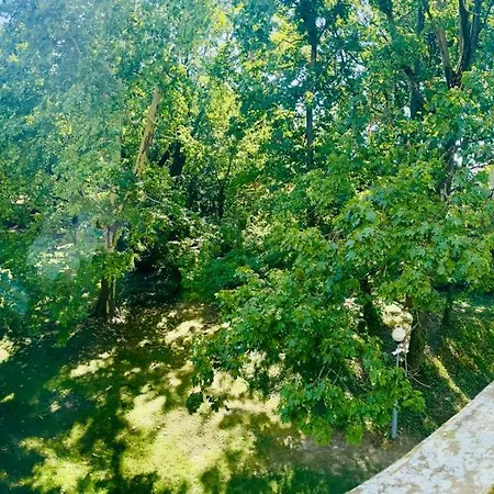 Guest house Vila Austerlitz 3*